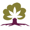 Hollow Oak Hemp Farm Logo